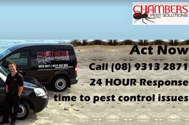 Chambers Pest Solutions